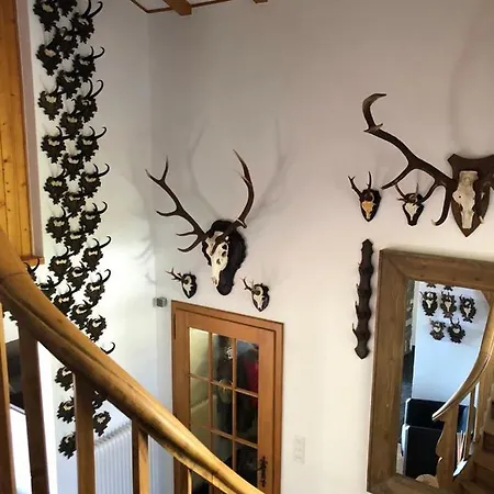 Bellevue, Σαλέ Villars-sur-Ollon