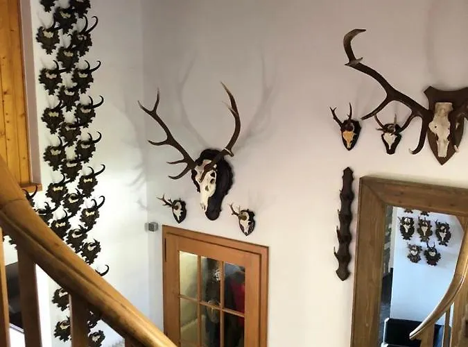 Bellevue, Chalet Villars-sur-Ollon